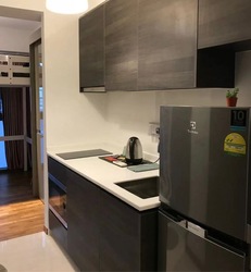 Sims Urban Oasis (D14), Condominium #578311881